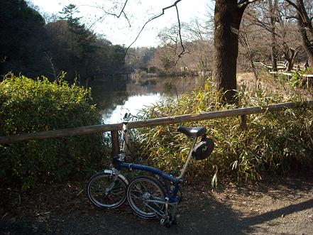 ドラえもんの裏山のモデル 自転車ブロンプトンと秋風に吹かれて