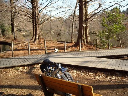 ドラえもんの裏山のモデル 自転車ブロンプトンと秋風に吹かれて